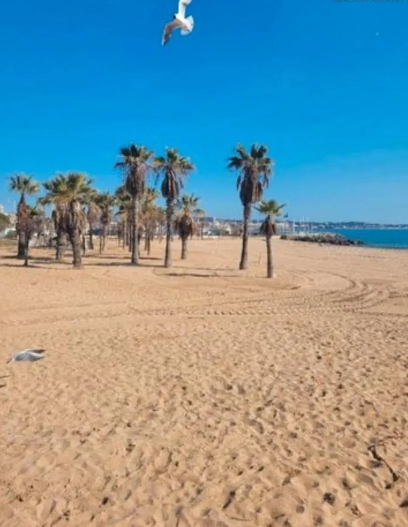 Sunny Cottage Fréjus Σπίτι διακοπών